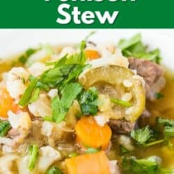 low carb venison stew pin.