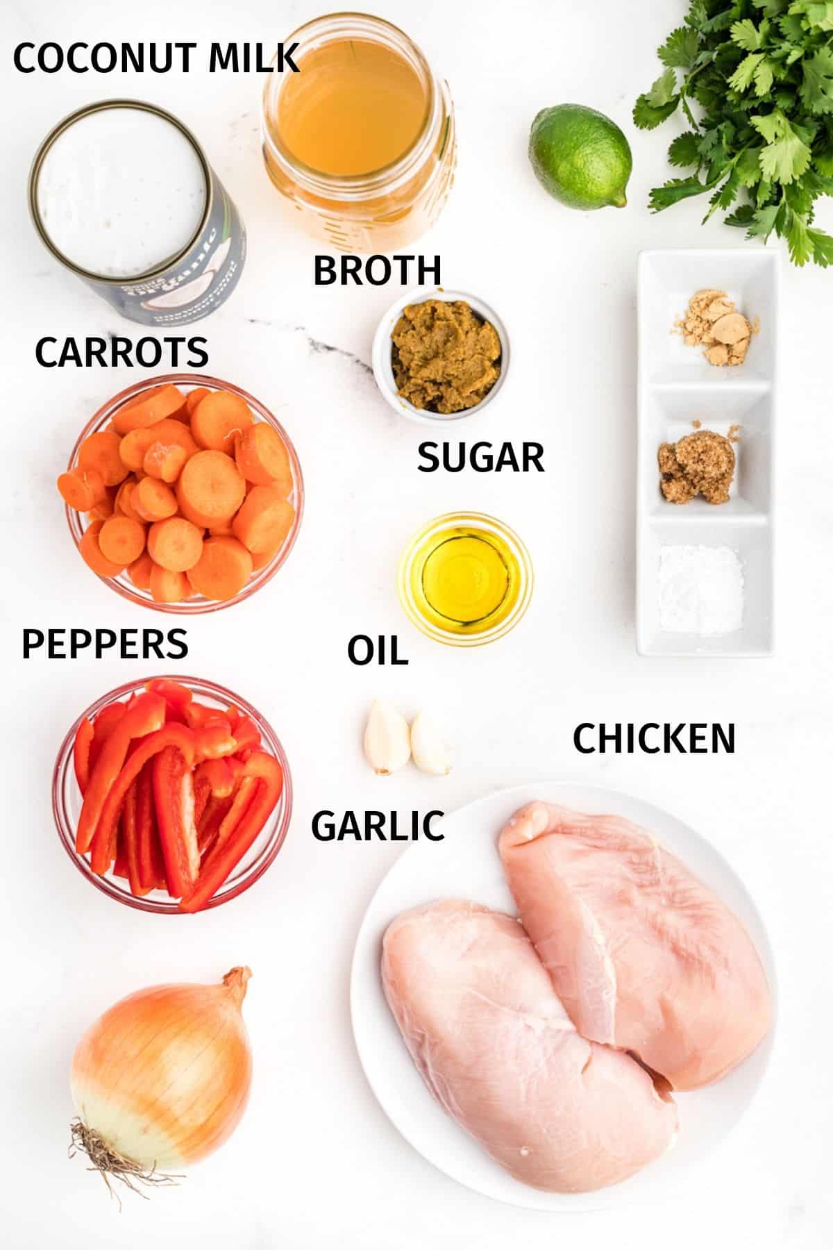 Ingredients for Instant Pot Thai Chicken Curry Soup in small bowls on a white surface.
