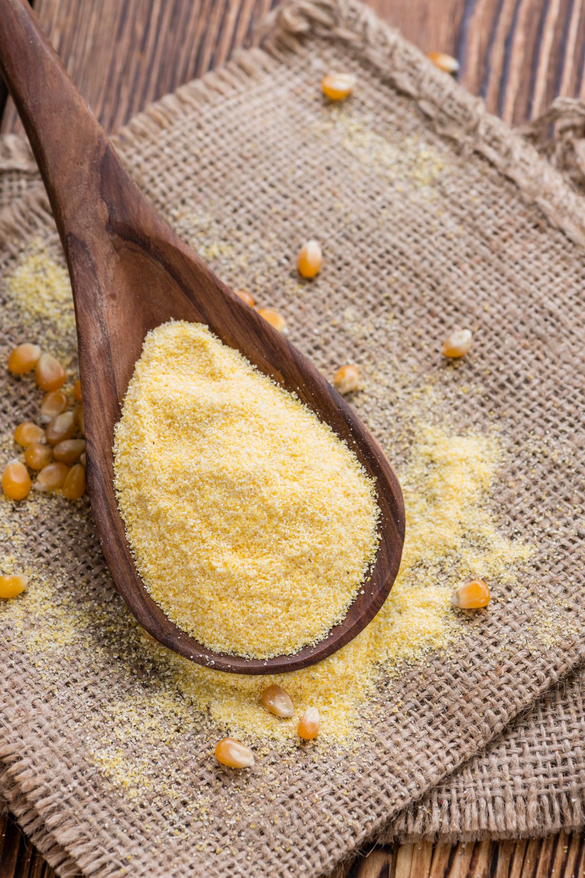 Spoon of cornmeal with corn kernels on burlap.
