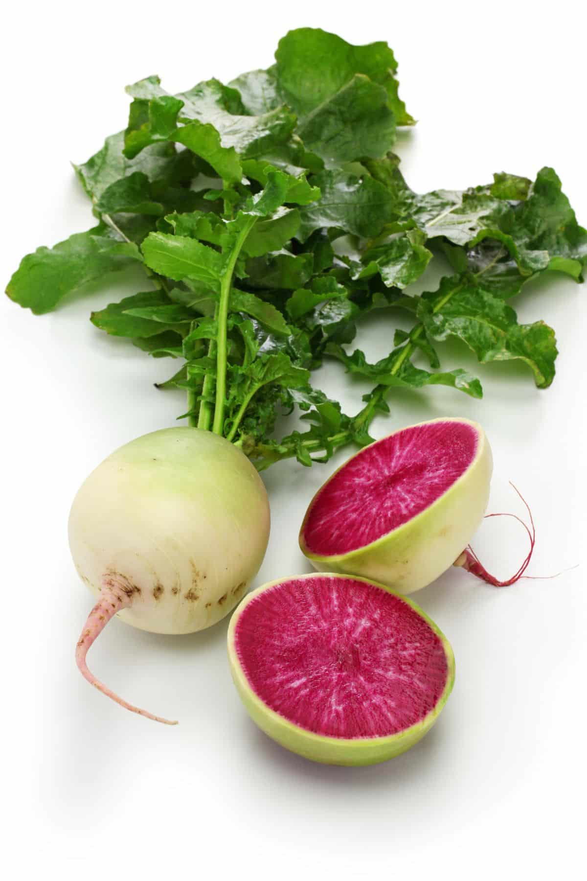 Watermelon radish slices beside whole radish.