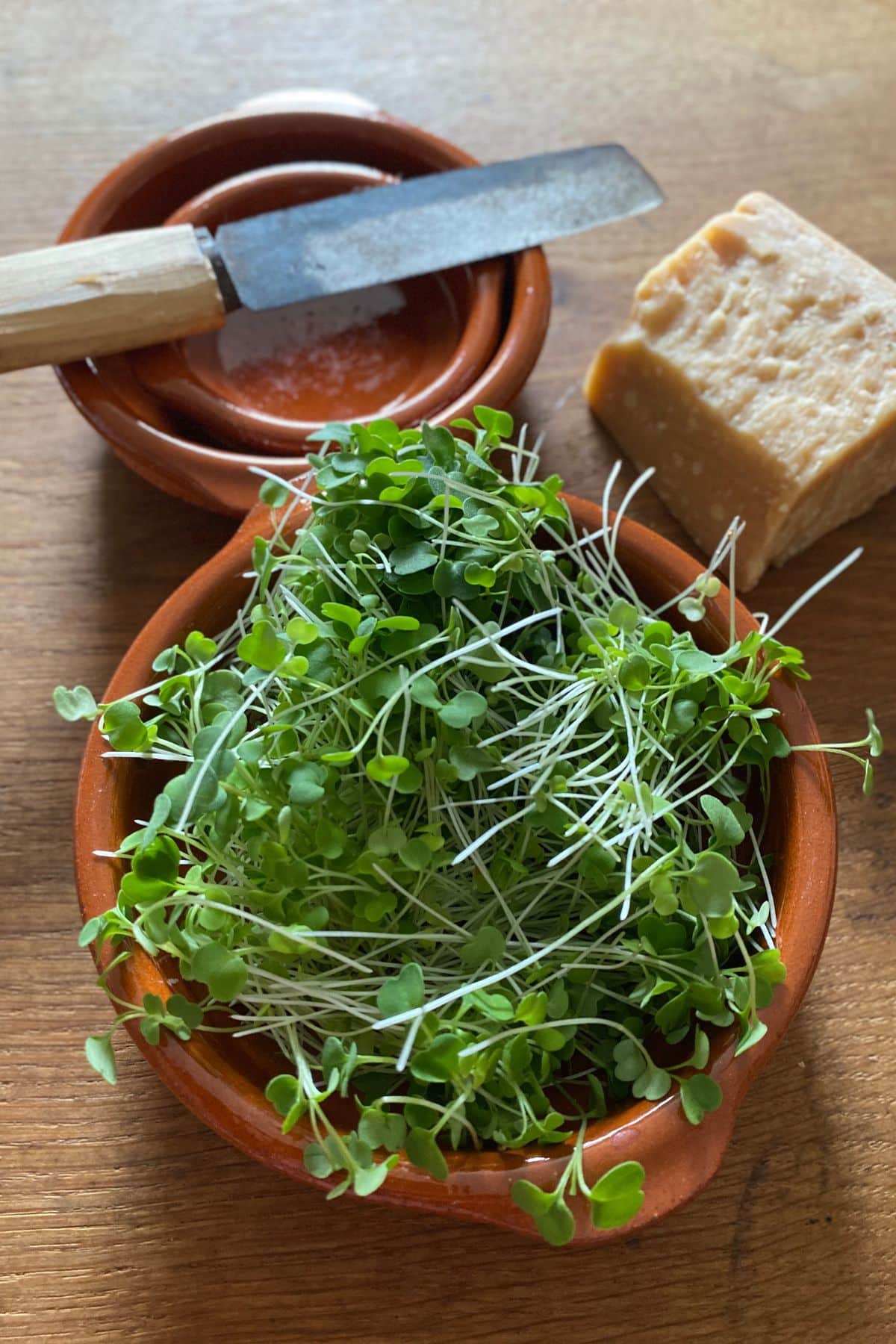 radish microgreens in a bowl.