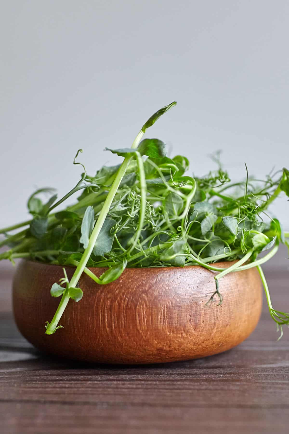 a bowl of pea microgreens.