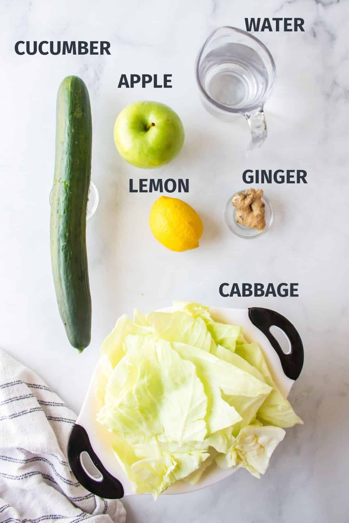 labeled ingredients for making cabbage juice.