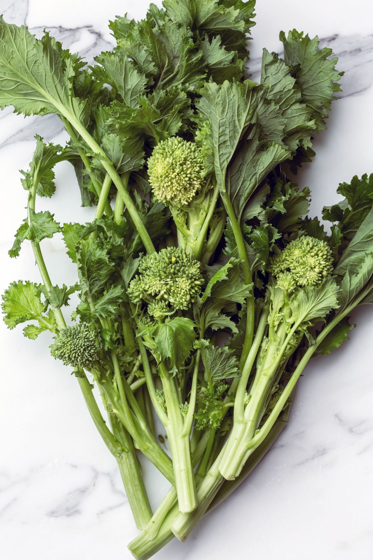 photo of broccoli rabe on table.