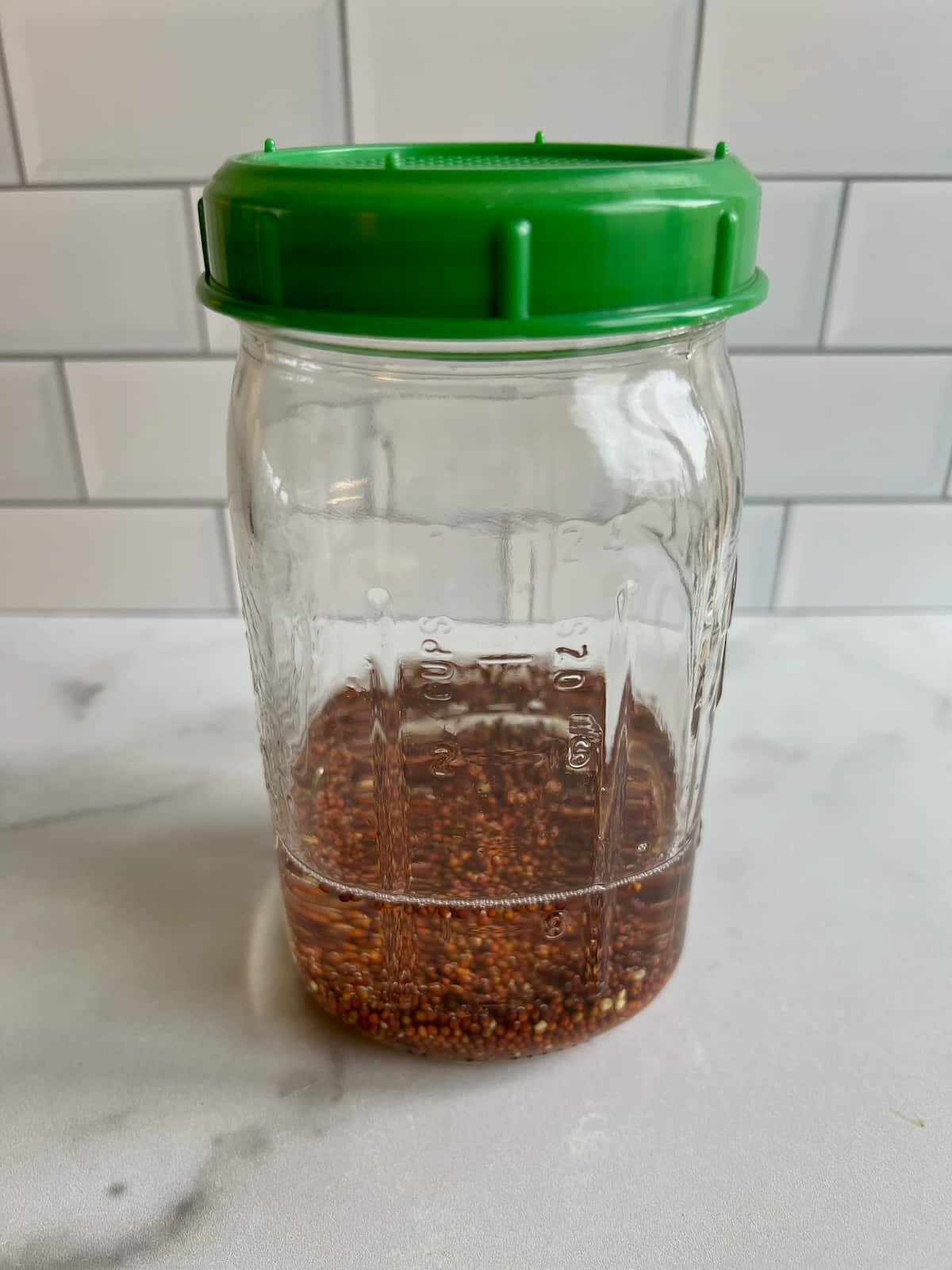 broccoli seeds soaking in sprouting jar with lid.