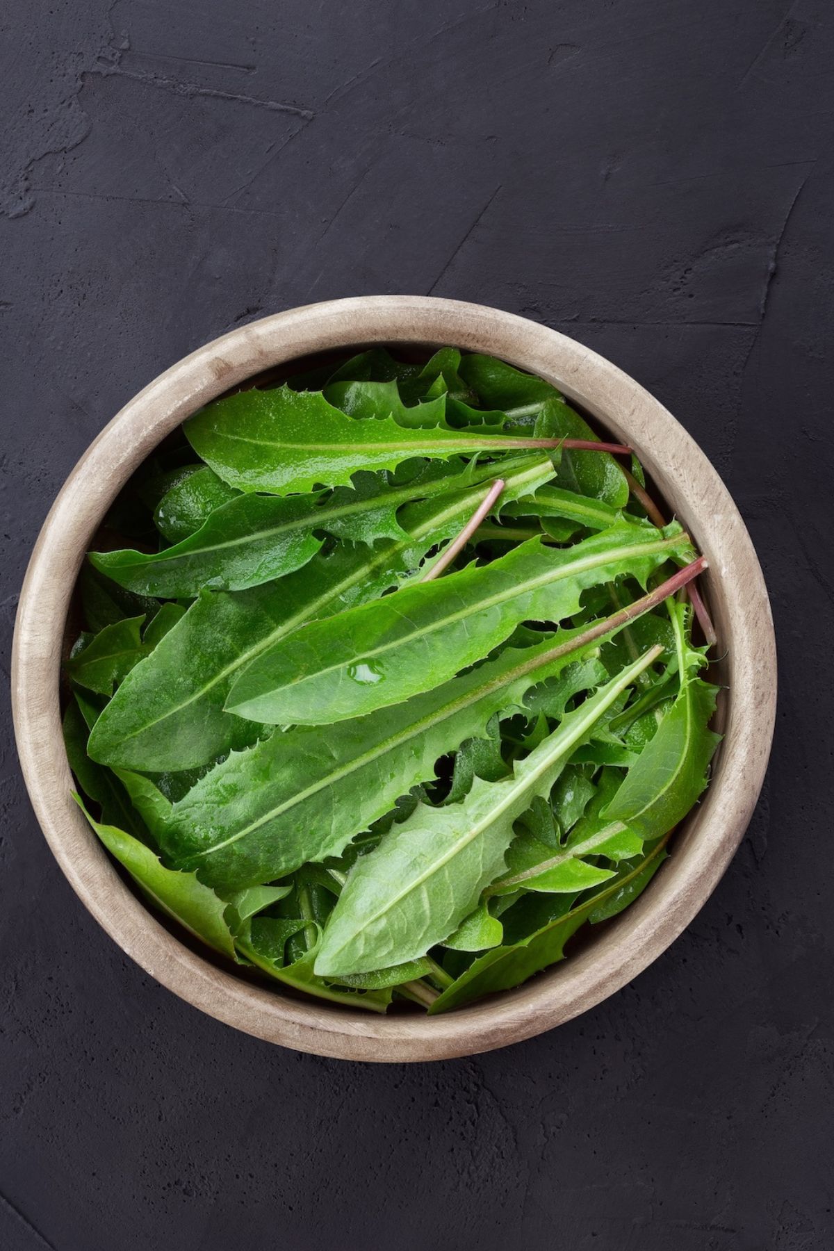 a bowl of dandelion greens.