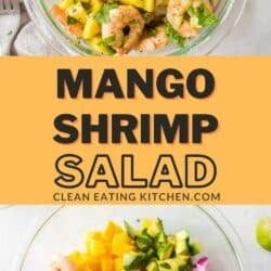mango shrimp salad extra pin.